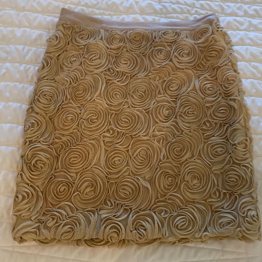 Banana Republic above the knee pencil skirt size 10